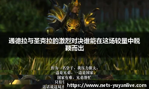 雨燕直播