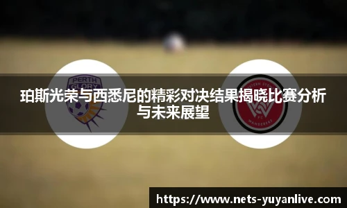 雨燕高清直播