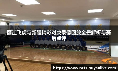 雨燕高清直播