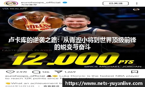 雨燕体育