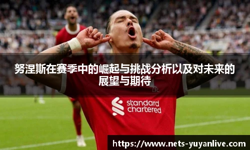 努涅斯在赛季中的崛起与挑战分析以及对未来的展望与期待