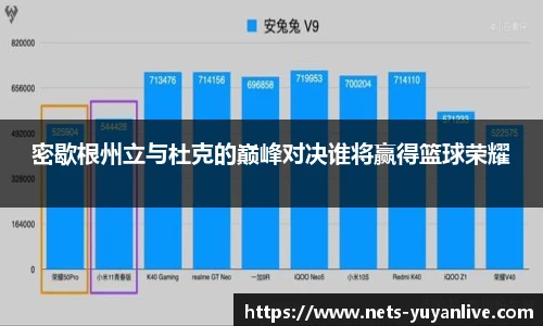 雨燕体育